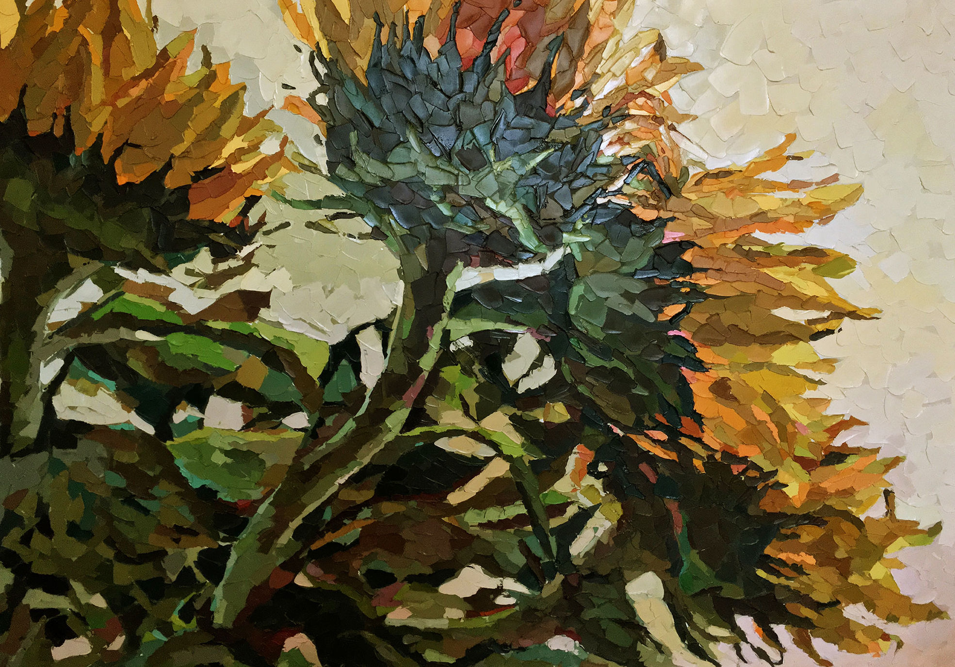 Подсолнухи