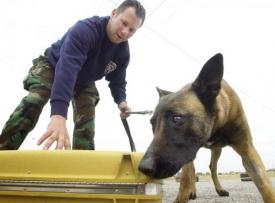 В здании железнодорожного вокзала Волгограда бомбы не оказалось