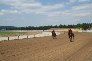 Врио главы Северной Осетии попытается воссоздать Бесланский  ипподром